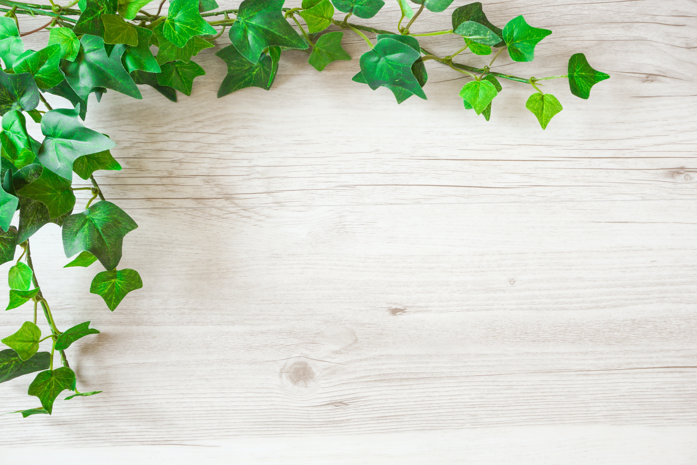 Green plant and wood grain background material