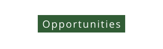 Opportunities